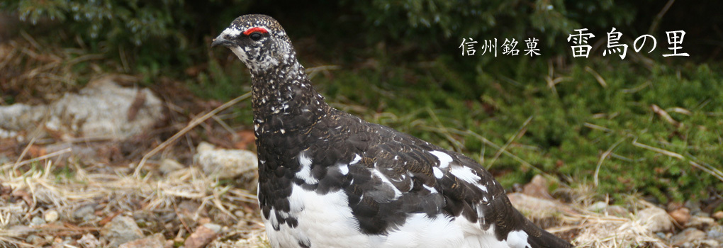 雷鳥の里本舗 田中屋 北アルプスの郷 大町市から心に残る信州みやげをプレゼンツ